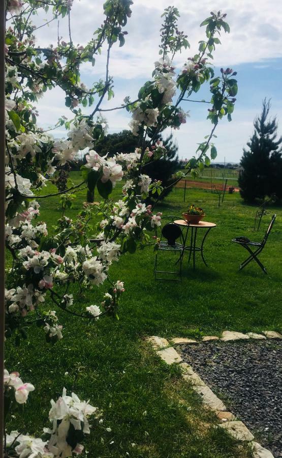 White Croft Cottage Рос Екстериор снимка